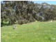 200 Ridgewood Loop, Bullsbrook WA 6084