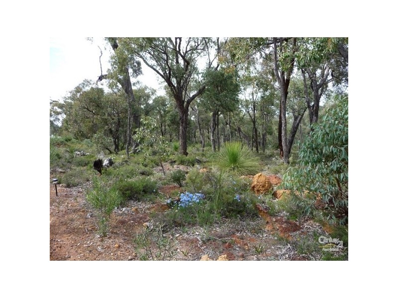 162 Patersonia Road, Chittering WA 6084