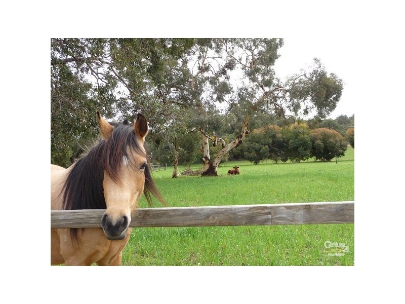 201 Jenkins Road, Bullsbrook WA 6084