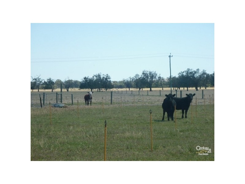 37 Breera Road, Gingin WA 6503