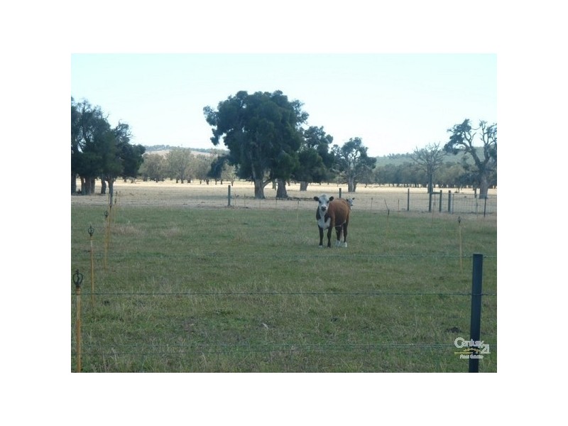 37 Breera Road, Gingin WA 6503