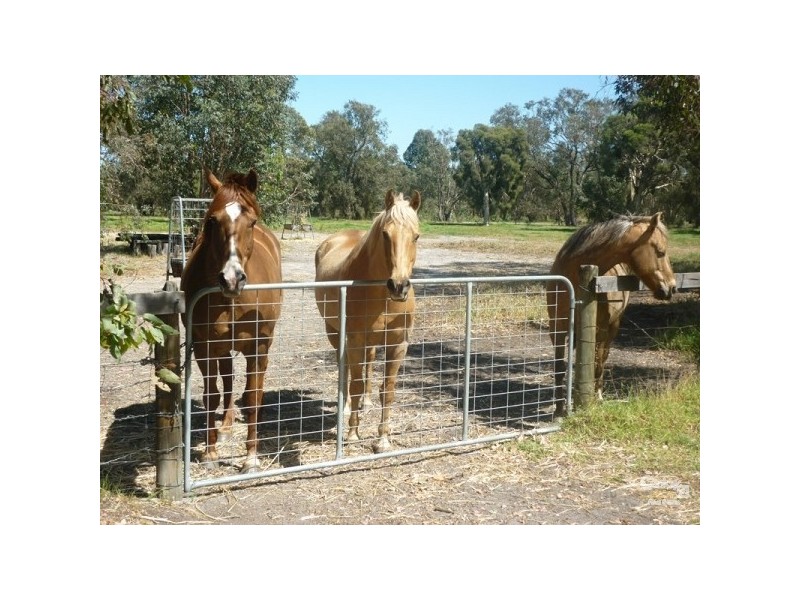 37 Breera Road, Gingin WA 6503