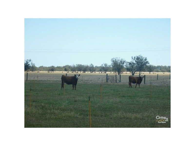 37 Breera Road, Gingin WA 6503