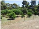 167 Meadowbrook Ramble, Bullsbrook WA 6084