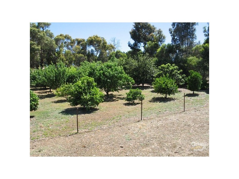 167 Meadowbrook Ramble, Bullsbrook WA 6084