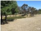167 Meadowbrook Ramble, Bullsbrook WA 6084