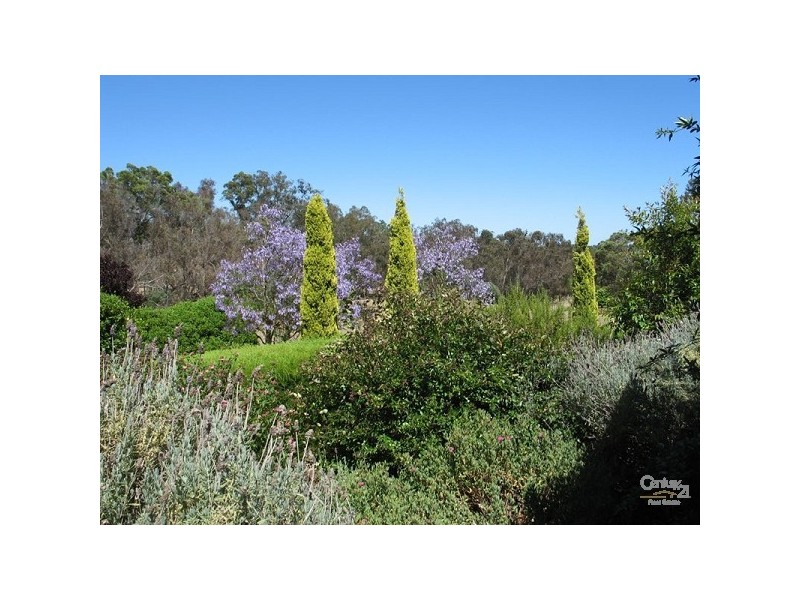 167 Meadowbrook Ramble, Bullsbrook WA 6084