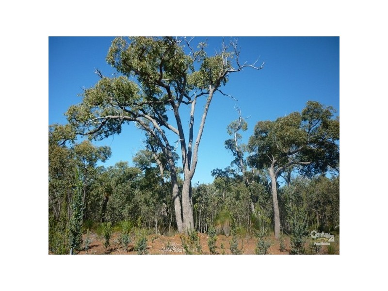 9 Pipe Lily Way, Lower Chittering WA 6084