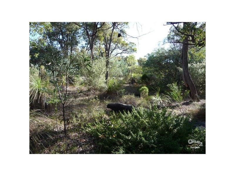 26 Chianina Place, Lower Chittering WA 6084