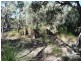 26 Chianina Place, Lower Chittering WA 6084