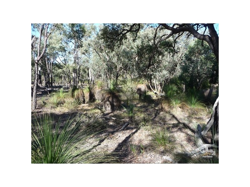 26 Chianina Place, Lower Chittering WA 6084