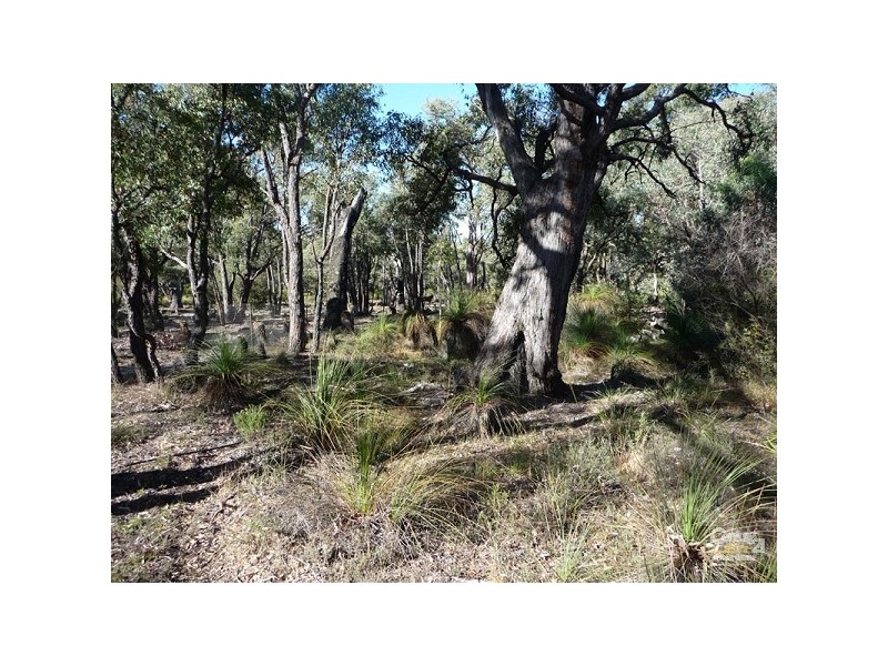 26 Chianina Place, Lower Chittering WA 6084
