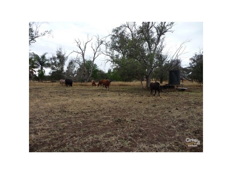 11 Timaru Road, Muchea WA 6501