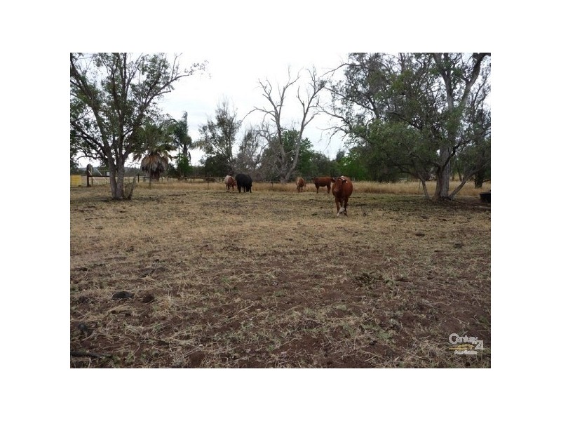 11 Timaru Road, Muchea WA 6501