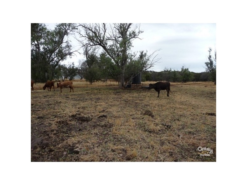11 Timaru Road, Muchea WA 6501