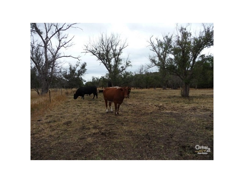 11 Timaru Road, Muchea WA 6501