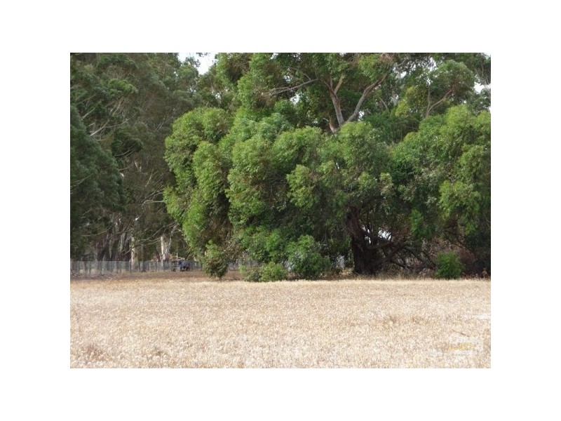 121 Stock West Road, Bullsbrook WA 6084