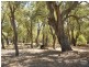 183 Ayrshire Loop, Lower Chittering WA 6084