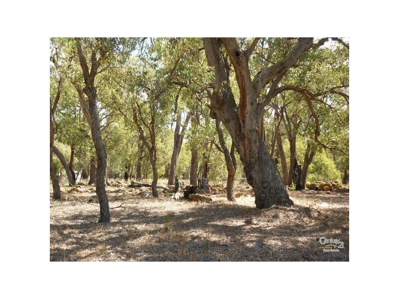183 Ayrshire Loop, Lower Chittering WA 6084