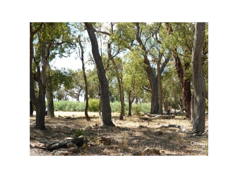 183 Ayrshire Loop, Lower Chittering WA 6084