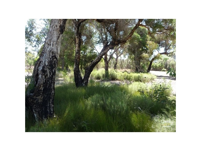 82 Bell Road, Coonabidgee WA 6503