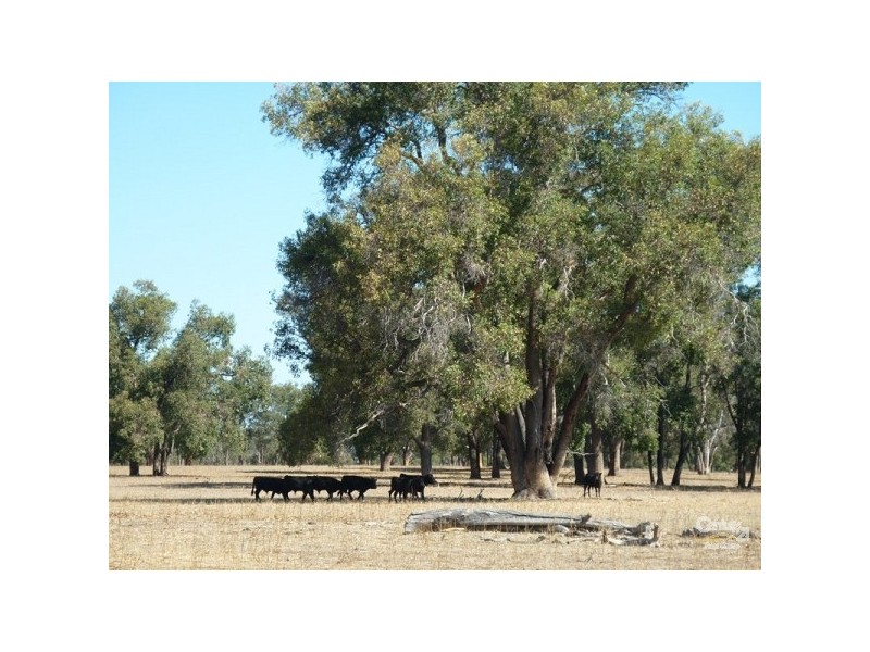 12 Wire Road Muckenburra, Gingin WA 6503