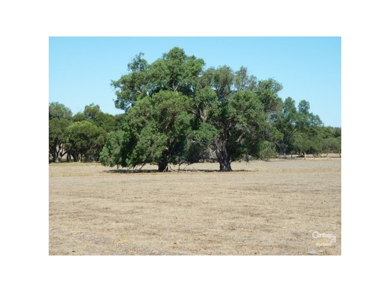 12 Wire Road Muckenburra, Gingin WA 6503