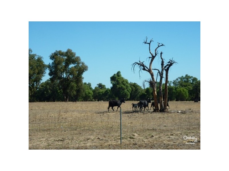 12 Wire Road Muckenburra, Gingin WA 6503