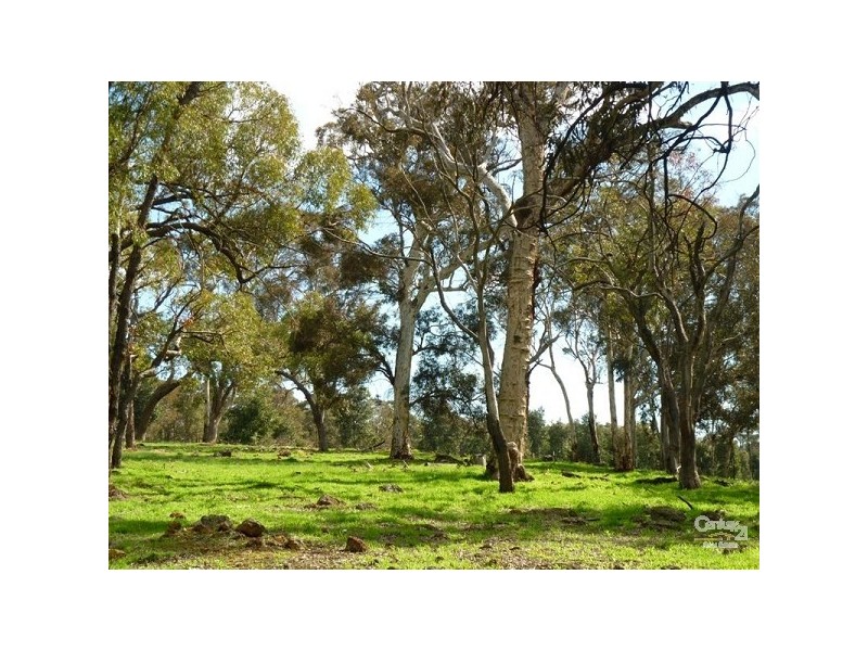 152 Dexter Chase, Lower Chittering WA 6084