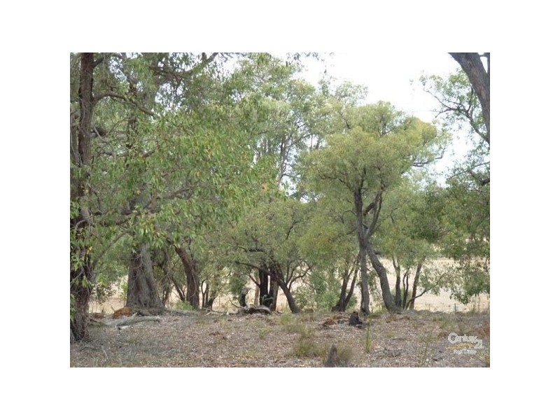 14 Hereford Way, Lower Chittering WA 6084