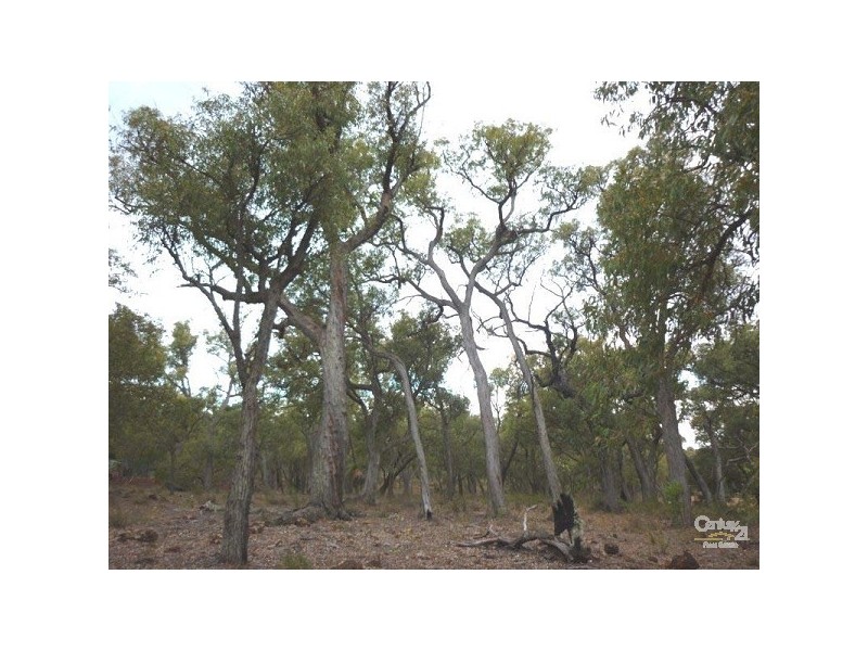 14 Hereford Way, Lower Chittering WA 6084