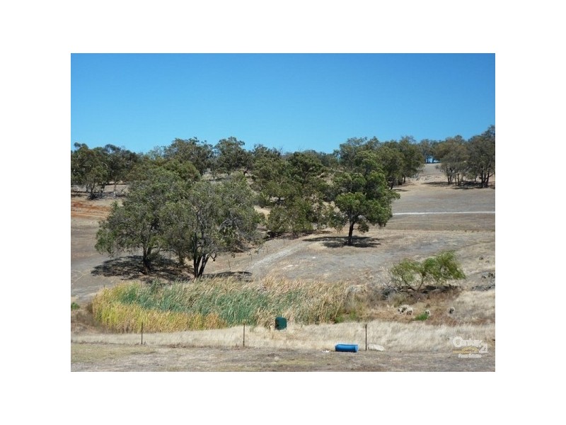 38 Shady Hills View, Bullsbrook WA 6084