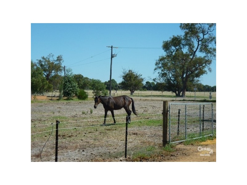 99 Chittering Street, Muchea WA 6501