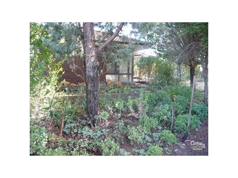 27 Brockholes Street, Bullsbrook WA 6084