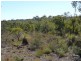 Lot 170 Wandena Estate, Lower Chittering WA 6084