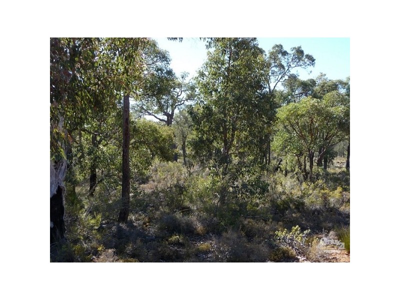 Lot 171 Wandena Estate, Lower Chittering WA 6084