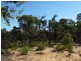Lot 173 Wandena Estate, Lower Chittering WA 6084