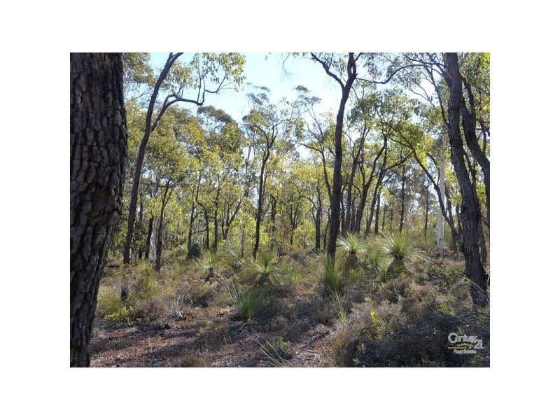 Lot 175 Wandena Estate, Lower Chittering WA 6084