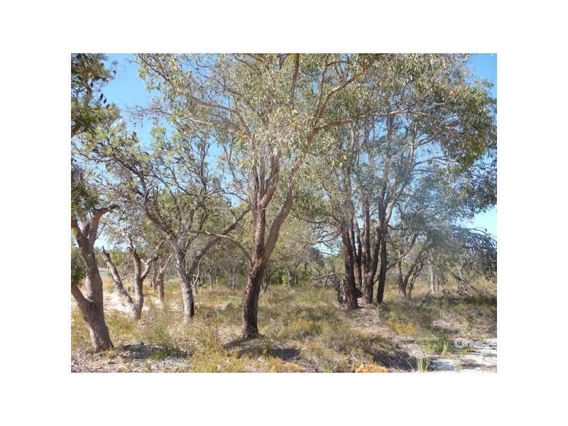 Lot 185 Wandena Estate, Lower Chittering WA 6084