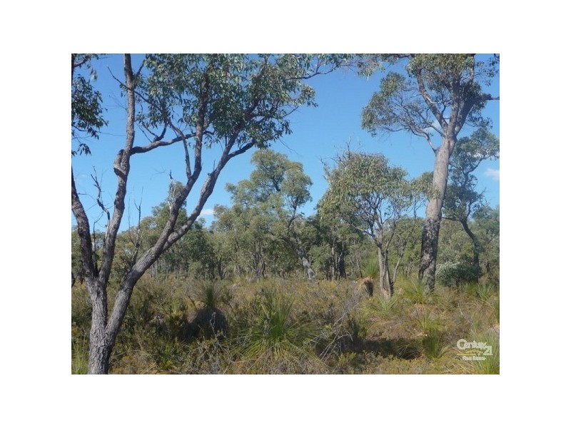 Lot 186 Wandena Estate, Lower Chittering WA 6084