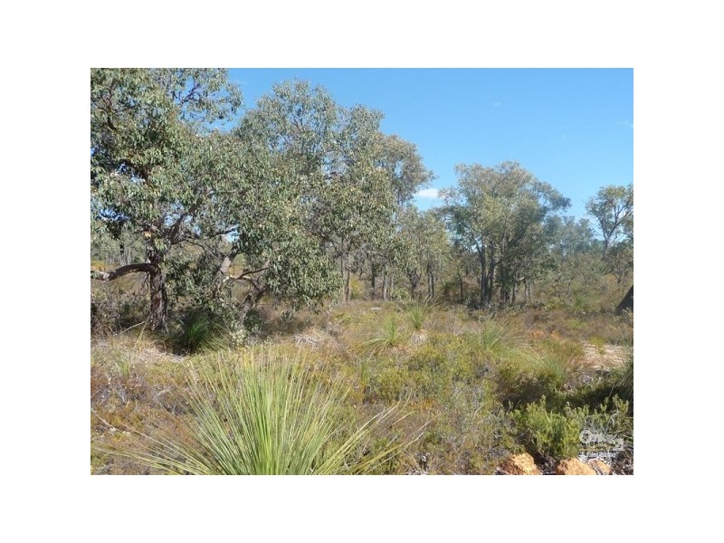 Lot 186 Wandena Estate, Lower Chittering WA 6084