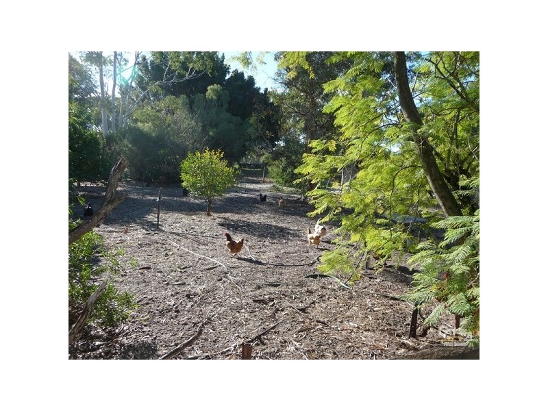 15 Edwards Place, Muchea WA 6501