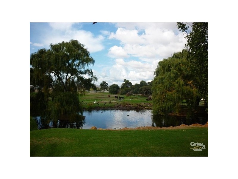 144 Strachan Road, Bullsbrook WA 6084