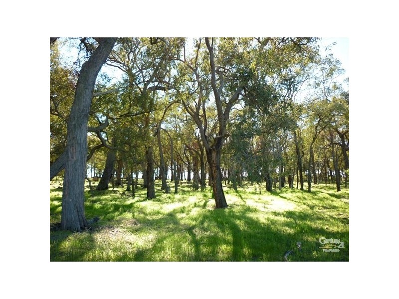 183 Ayrshire Loop, Lower Chittering WA 6084
