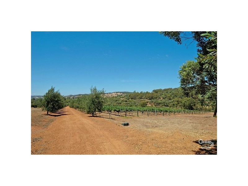 17 Spoonbill Close, Chittering WA 6084