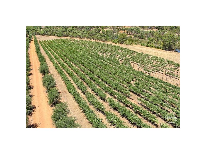 17 Spoonbill Close, Chittering WA 6084