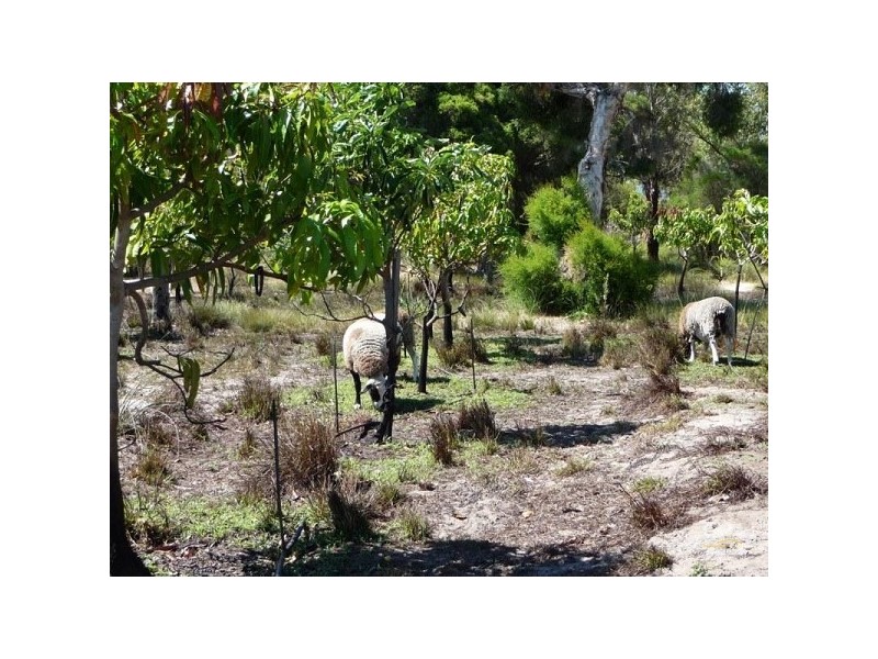 82 Bell Road, Gingin WA 6503