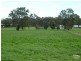 299 Maine Anjou Drive, Lower Chittering WA 6084