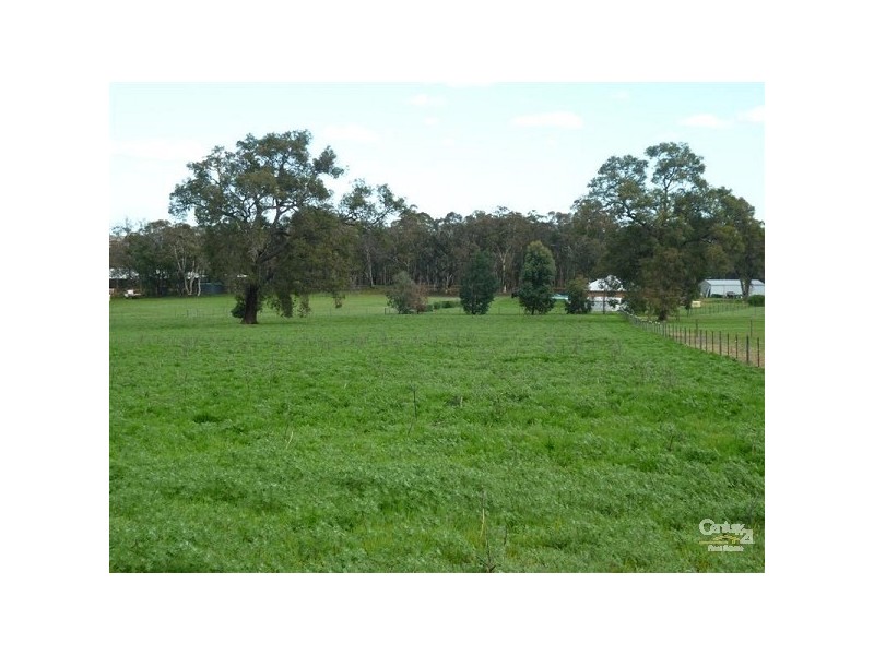 299 Maine Anjou Drive, Lower Chittering WA 6084