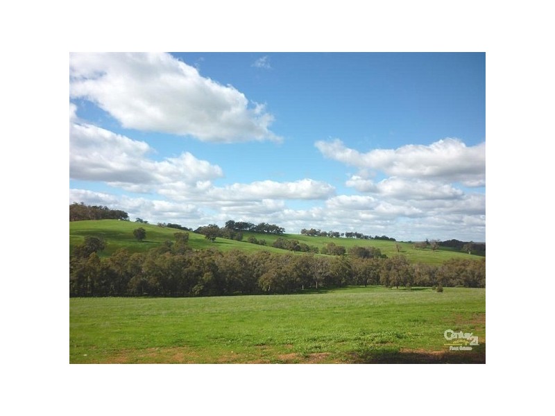 152 Dexter Chase, Lower Chittering WA 6084